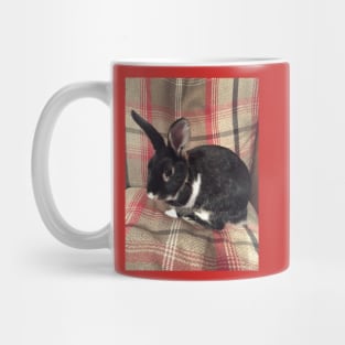 Tartan Easter Baby Bunny Rabbit Mug